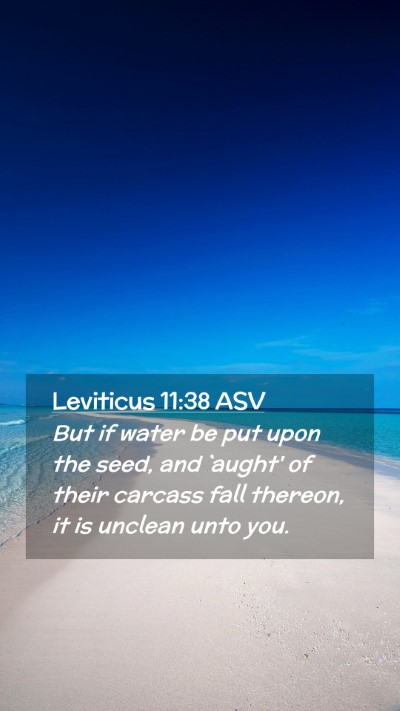 Picture 02 - Leviticus 11:38 ASV Mobile Phone Wallpaper - But if water be put upon the seed, and `aught' of - Mobile Bible Verse Wallpaper