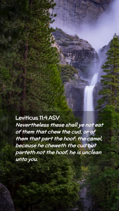 Picture 02 - Leviticus 11:4 ASV Mobile Phone Wallpaper - Nevertheless these shall ye not eat of them that - Mobile Bible Verse Wallpaper