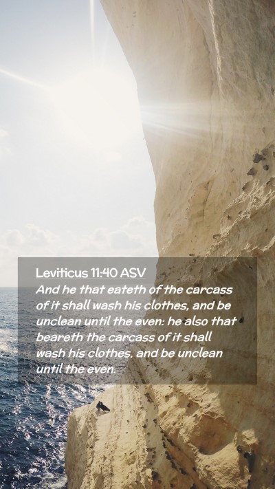 Picture 02 - Leviticus 11:40 ASV Mobile Phone Wallpaper - And he that eateth of the carcass of it shall - Mobile Bible Verse Wallpaper