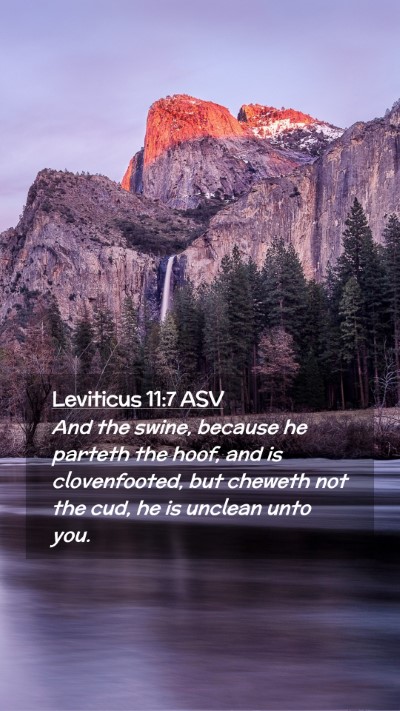 Picture 02 - Leviticus 11:7 ASV Mobile Phone Wallpaper - And the swine, because he parteth the hoof, and - Mobile Bible Verse Wallpaper