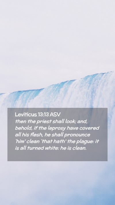Picture 02 - Leviticus 13:13 ASV Mobile Phone Wallpaper - then the priest shall look; and, behold, if the - Mobile Bible Verse Wallpaper