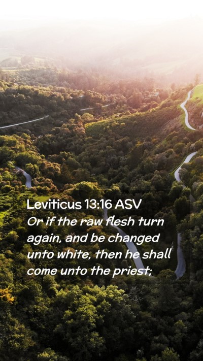 Picture 02 - Leviticus 13:16 ASV Mobile Phone Wallpaper - Or if the raw flesh turn again, and be changed - Mobile Bible Verse Wallpaper