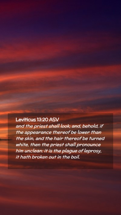 Picture 02 - Leviticus 13:20 ASV Mobile Phone Wallpaper - and the priest shall look; and, behold, if the - Mobile Bible Verse Wallpaper