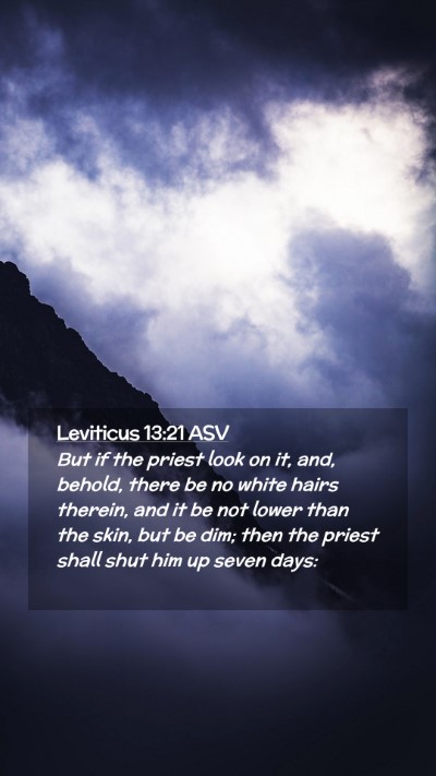 Picture 02 - Leviticus 13:21 ASV Mobile Phone Wallpaper - But if the priest look on it, and, behold, there - Mobile Bible Verse Wallpaper
