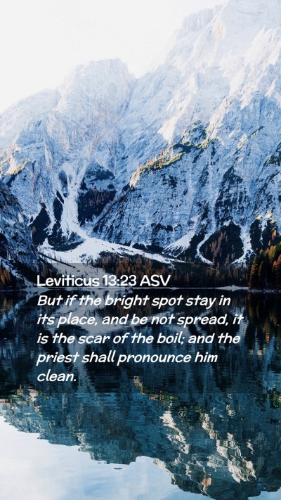 Picture 02 - Leviticus 13:23 ASV Mobile Phone Wallpaper - But if the bright spot stay in its place, and be - Mobile Bible Verse Wallpaper