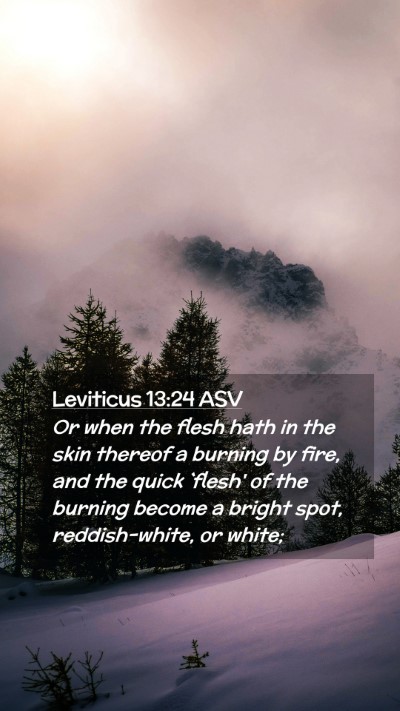 Picture 02 - Leviticus 13:24 ASV Mobile Phone Wallpaper - Or when the flesh hath in the skin thereof a - Mobile Bible Verse Wallpaper