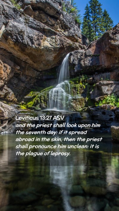 Picture 02 - Leviticus 13:27 ASV Mobile Phone Wallpaper - and the priest shall look upon him the seventh - Mobile Bible Verse Wallpaper