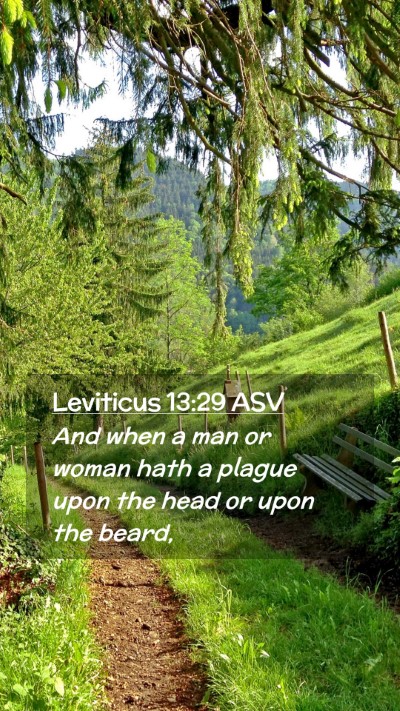 Picture 02 - Leviticus 13:29 ASV Mobile Phone Wallpaper - And when a man or woman hath a plague upon the - Mobile Bible Verse Wallpaper
