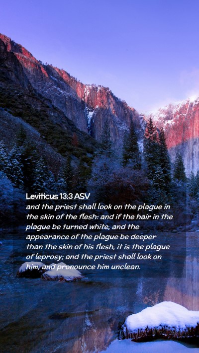 Picture 02 - Leviticus 13:3 ASV Mobile Phone Wallpaper - and the priest shall look on the plague in the - Mobile Bible Verse Wallpaper