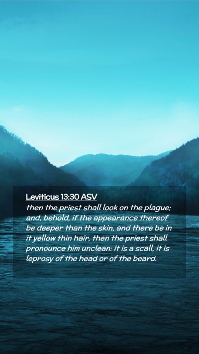 Picture 02 - Leviticus 13:30 ASV Mobile Phone Wallpaper - then the priest shall look on the plague; and, - Mobile Bible Verse Wallpaper