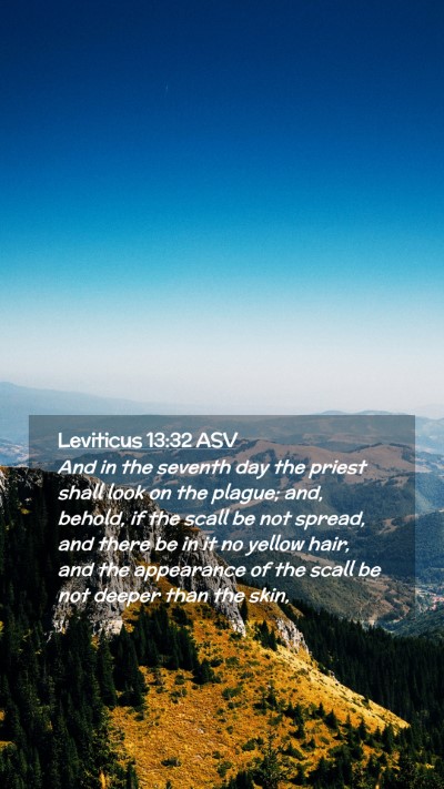 Picture 02 - Leviticus 13:32 ASV Mobile Phone Wallpaper - And in the seventh day the priest shall look on - Mobile Bible Verse Wallpaper