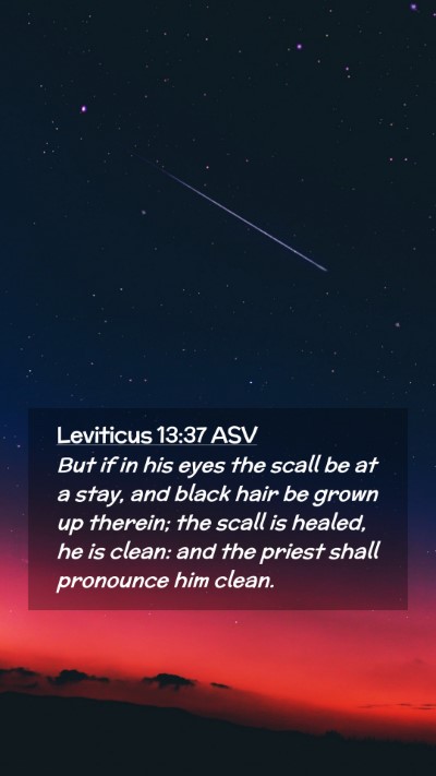 Picture 02 - Leviticus 13:37 ASV Mobile Phone Wallpaper - But if in his eyes the scall be at a stay, and - Mobile Bible Verse Wallpaper