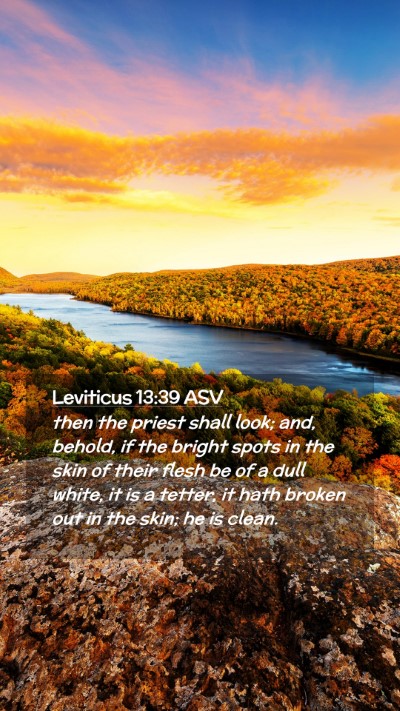 Picture 02 - Leviticus 13:39 ASV Mobile Phone Wallpaper - then the priest shall look; and, behold, if the - Mobile Bible Verse Wallpaper