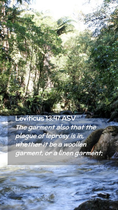 Picture 02 - Leviticus 13:47 ASV Mobile Phone Wallpaper - The garment also that the plague of leprosy is - Mobile Bible Verse Wallpaper