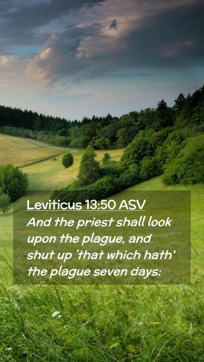 Picture 02 - Leviticus 13:50 ASV Mobile Phone Wallpaper - And the priest shall look upon the plague, and - Mobile Bible Verse Wallpaper
