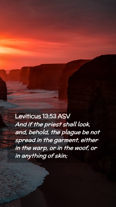 Picture 02 - Leviticus 13:53 ASV Mobile Phone Wallpaper - And if the priest shall look, and, behold, the - Mobile Bible Verse Wallpaper