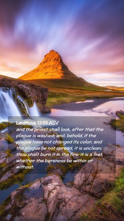 Picture 02 - Leviticus 13:55 ASV Mobile Phone Wallpaper - and the priest shall look, after that the plague - Mobile Bible Verse Wallpaper