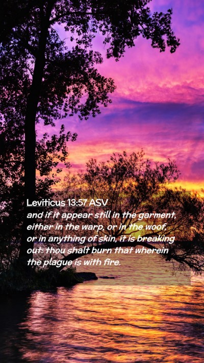 Picture 02 - Leviticus 13:57 ASV Mobile Phone Wallpaper - and if it appear still in the garment, either in - Mobile Bible Verse Wallpaper