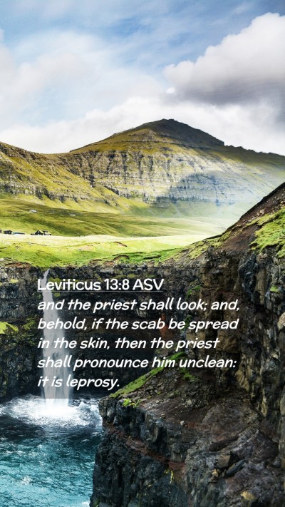 Picture 02 - Leviticus 13:8 ASV Mobile Phone Wallpaper - and the priest shall look; and, behold, if the - Mobile Bible Verse Wallpaper