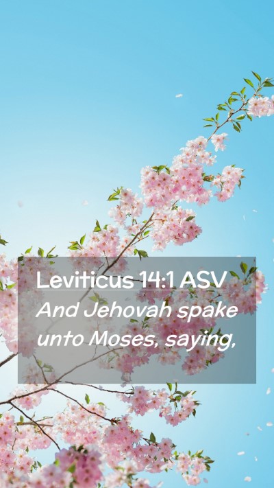Picture 02 - Leviticus 14:1 ASV Mobile Phone Wallpaper - And Jehovah spake unto Moses, - Mobile Bible Verse Wallpaper