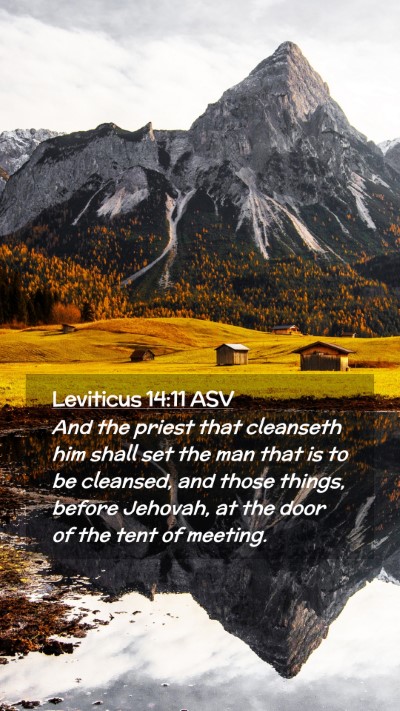 Picture 02 - Leviticus 14:11 ASV Mobile Phone Wallpaper - And the priest that cleanseth him shall set the - Mobile Bible Verse Wallpaper