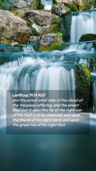 Picture 02 - Leviticus 14:14 ASV Mobile Phone Wallpaper - and the priest shall take of the blood of the - Mobile Bible Verse Wallpaper
