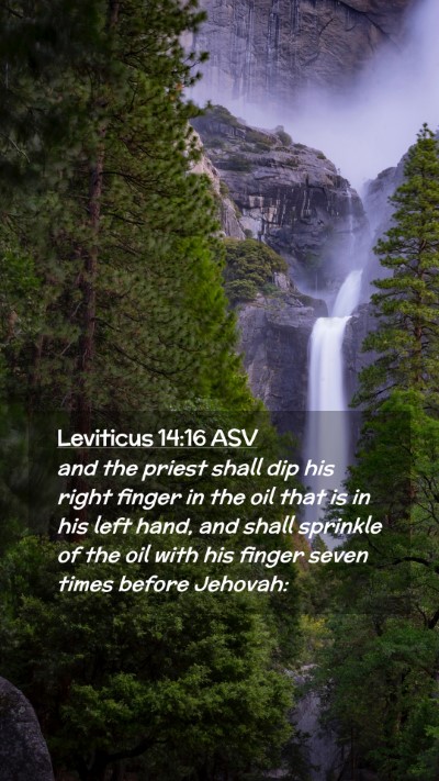 Picture 02 - Leviticus 14:16 ASV Mobile Phone Wallpaper - and the priest shall dip his right finger in the - Mobile Bible Verse Wallpaper