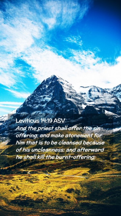 Picture 02 - Leviticus 14:19 ASV Mobile Phone Wallpaper - And the priest shall offer the sin-offering, and - Mobile Bible Verse Wallpaper