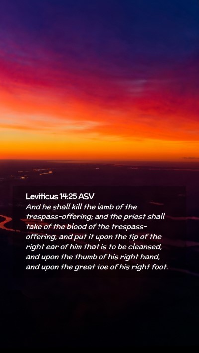 Picture 02 - Leviticus 14:25 ASV Mobile Phone Wallpaper - And he shall kill the lamb of the - Mobile Bible Verse Wallpaper