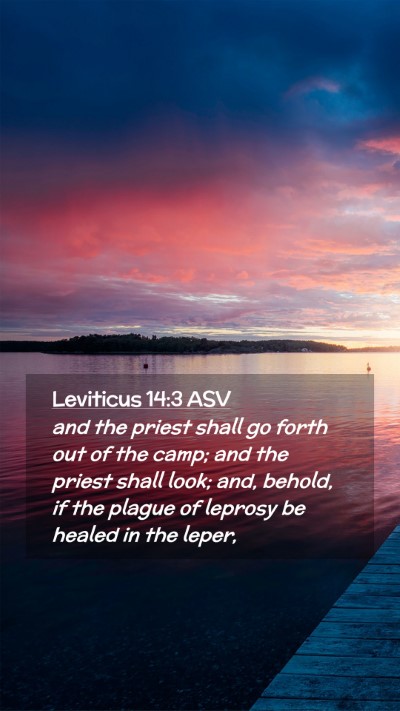 Picture 02 - Leviticus 14:3 ASV Mobile Phone Wallpaper - and the priest shall go forth out of the camp; - Mobile Bible Verse Wallpaper