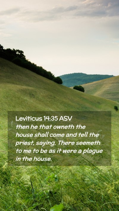 Picture 02 - Leviticus 14:35 ASV Mobile Phone Wallpaper - then he that owneth the house shall come and tell - Mobile Bible Verse Wallpaper