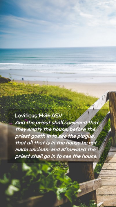 Picture 02 - Leviticus 14:36 ASV Mobile Phone Wallpaper - And the priest shall command that they empty the - Mobile Bible Verse Wallpaper
