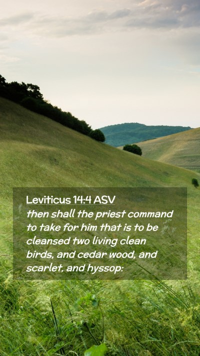 Picture 02 - Leviticus 14:4 ASV Mobile Phone Wallpaper - then shall the priest command to take for him - Mobile Bible Verse Wallpaper