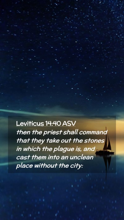 Picture 02 - Leviticus 14:40 ASV Mobile Phone Wallpaper - then the priest shall command that they take out - Mobile Bible Verse Wallpaper