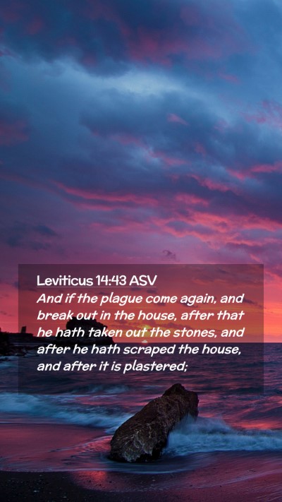Picture 02 - Leviticus 14:43 ASV Mobile Phone Wallpaper - And if the plague come again, and break out in - Mobile Bible Verse Wallpaper