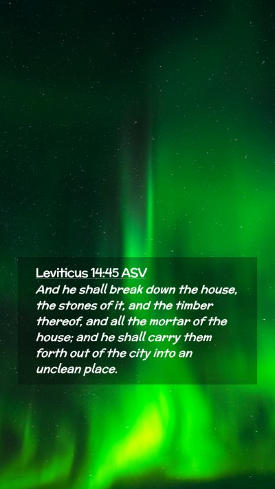 Picture 02 - Leviticus 14:45 ASV Mobile Phone Wallpaper - And he shall break down the house, the stones of - Mobile Bible Verse Wallpaper