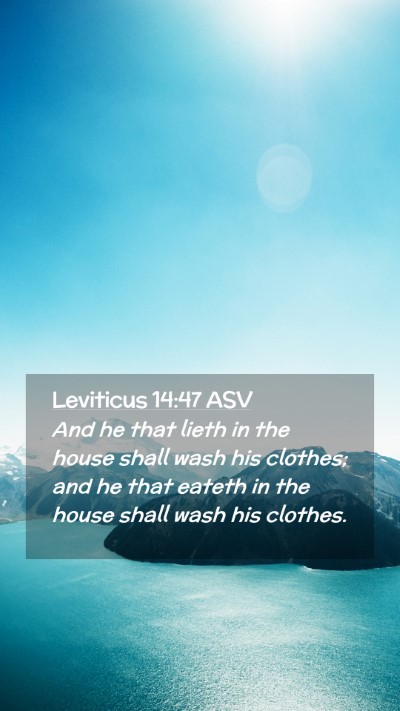 Picture 02 - Leviticus 14:47 ASV Mobile Phone Wallpaper - And he that lieth in the house shall wash his - Mobile Bible Verse Wallpaper