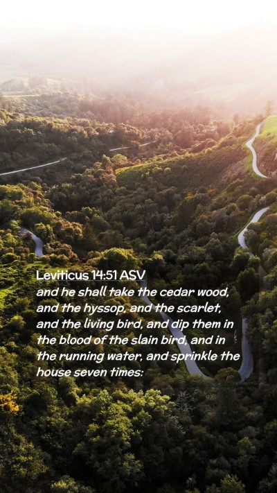 Picture 02 - Leviticus 14:51 ASV Mobile Phone Wallpaper - and he shall take the cedar wood, and the hyssop, - Mobile Bible Verse Wallpaper