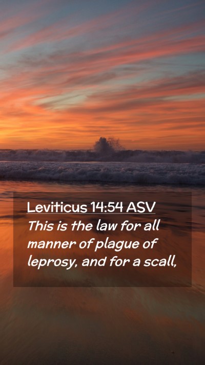 Picture 02 - Leviticus 14:54 ASV Mobile Phone Wallpaper - This is the law for all manner of plague of - Mobile Bible Verse Wallpaper