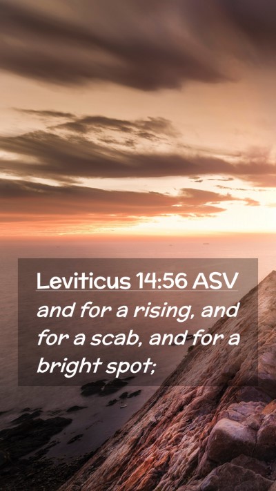 Picture 02 - Leviticus 14:56 ASV Mobile Phone Wallpaper - and for a rising, and for a scab, and for a - Mobile Bible Verse Wallpaper