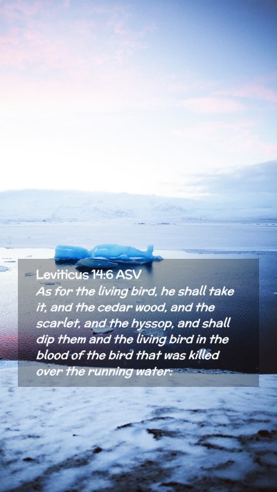 Picture 02 - Leviticus 14:6 ASV Mobile Phone Wallpaper - As for the living bird, he shall take it, and the - Mobile Bible Verse Wallpaper
