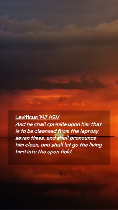Picture 02 - Leviticus 14:7 ASV Mobile Phone Wallpaper - And he shall sprinkle upon him that is to be - Mobile Bible Verse Wallpaper