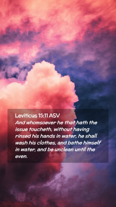 Picture 02 - Leviticus 15:11 ASV Mobile Phone Wallpaper - And whomsoever he that hath the issue toucheth, - Mobile Bible Verse Wallpaper