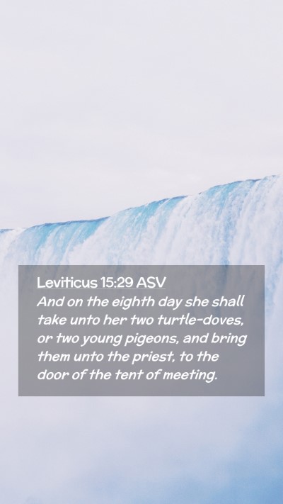 Picture 02 - Leviticus 15:29 ASV Mobile Phone Wallpaper - And on the eighth day she shall take unto her two - Mobile Bible Verse Wallpaper