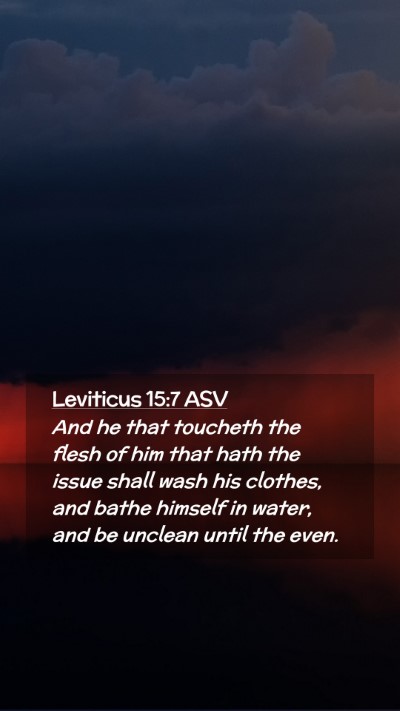 Picture 02 - Leviticus 15:7 ASV Mobile Phone Wallpaper - And he that toucheth the flesh of him that hath - Mobile Bible Verse Wallpaper