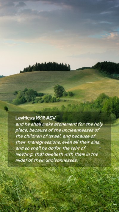Picture 02 - Leviticus 16:16 ASV Mobile Phone Wallpaper - and he shall make atonement for the holy place, - Mobile Bible Verse Wallpaper