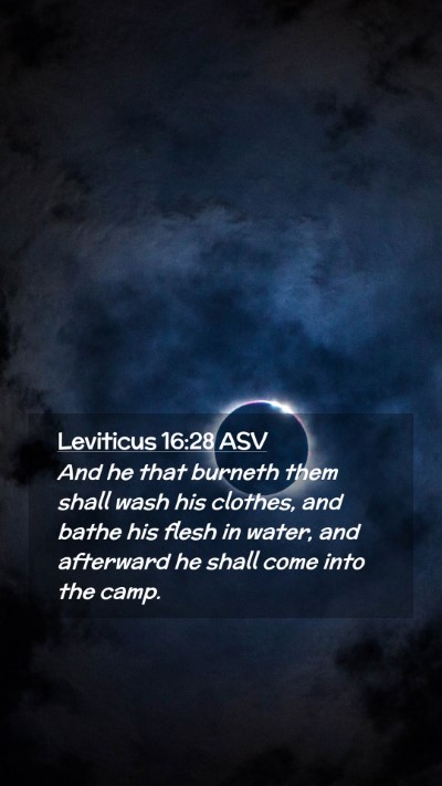 Picture 02 - Leviticus 16:28 ASV Mobile Phone Wallpaper - And he that burneth them shall wash his clothes, - Mobile Bible Verse Wallpaper