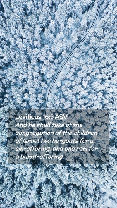 Picture 02 - Leviticus 16:5 ASV Mobile Phone Wallpaper - And he shall take of the congregation of the - Mobile Bible Verse Wallpaper