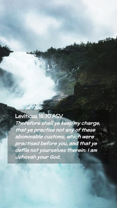 Picture 02 - Leviticus 18:30 ASV Mobile Phone Wallpaper - Therefore shall ye keep my charge, that ye - Mobile Bible Verse Wallpaper