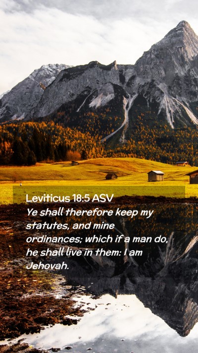 Picture 02 - Leviticus 18:5 ASV Mobile Phone Wallpaper - Ye shall therefore keep my statutes, and mine - Mobile Bible Verse Wallpaper